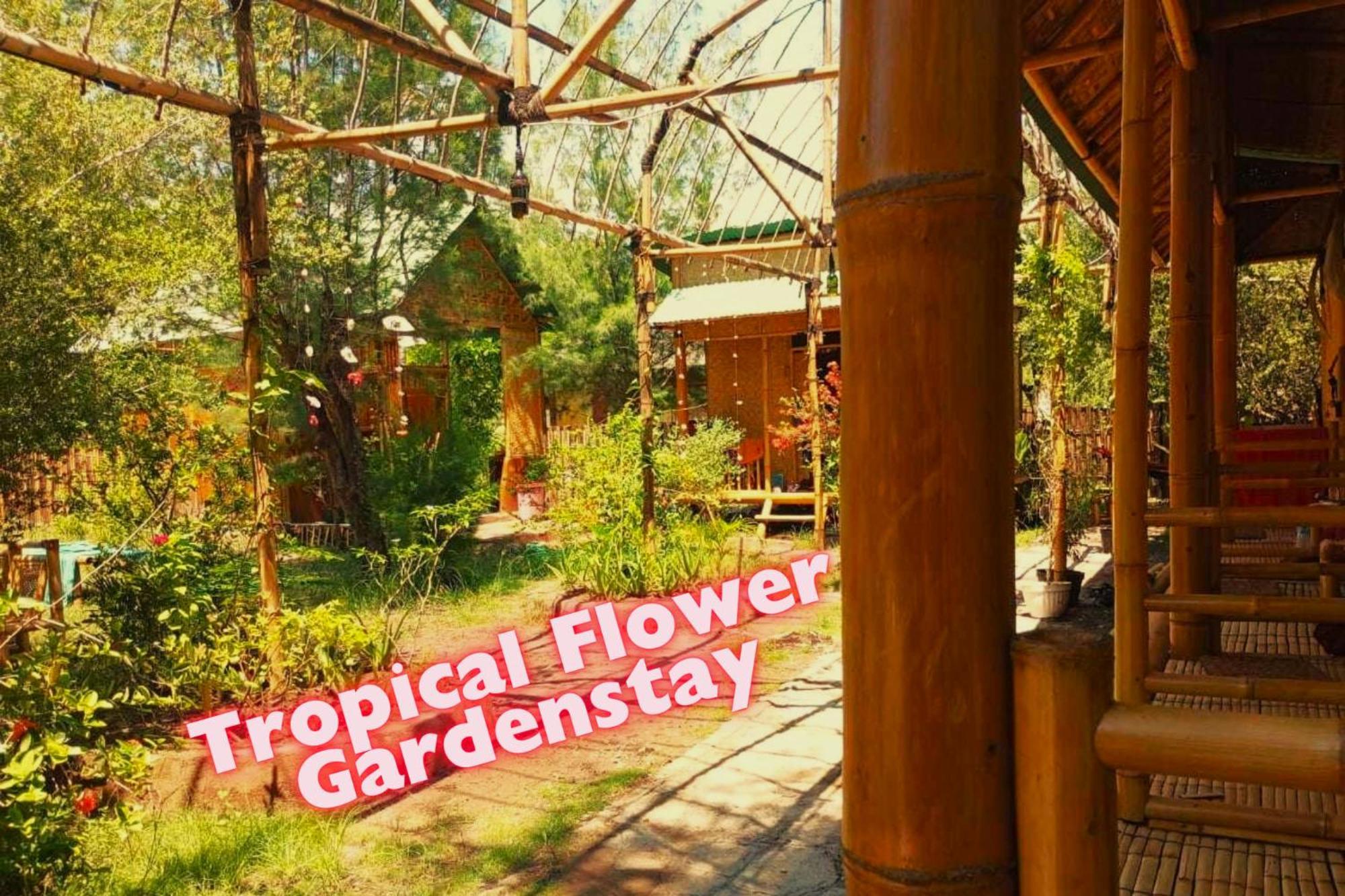 Uncle Hippie'S Dream Vandrarhem Gili Meno Exteriör bild