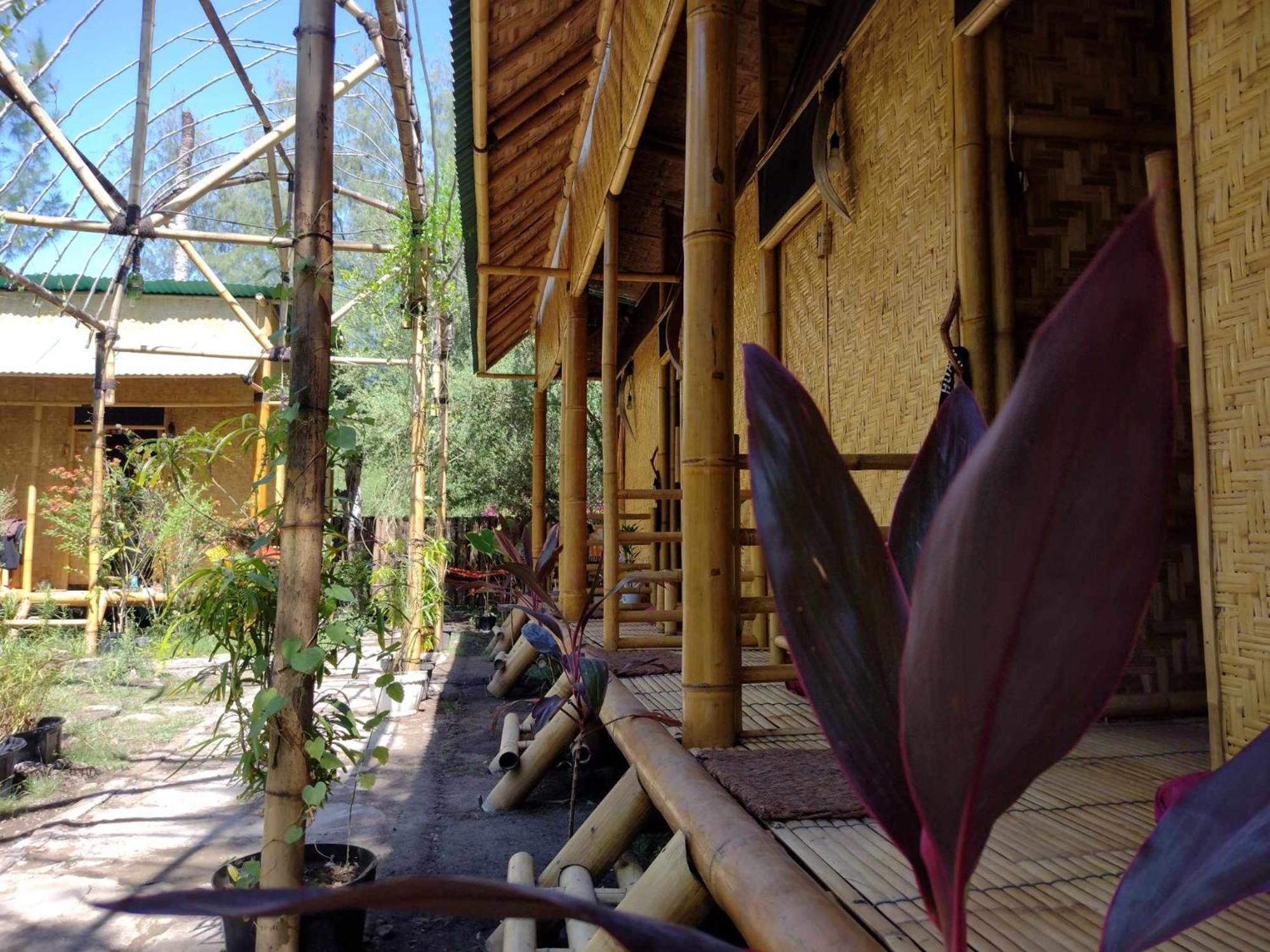 Uncle Hippie'S Dream Vandrarhem Gili Meno Exteriör bild