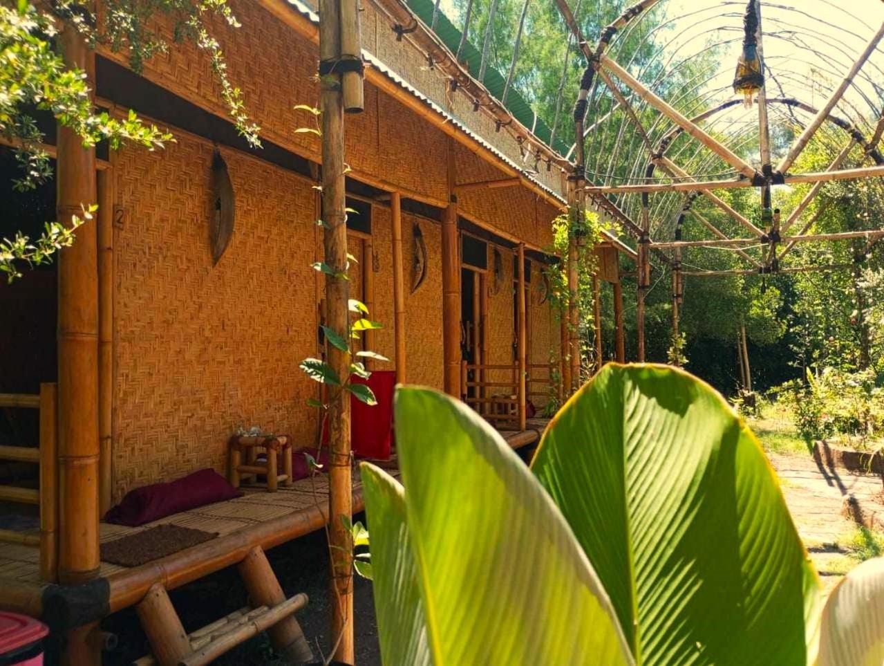 Uncle Hippie'S Dream Vandrarhem Gili Meno Exteriör bild
