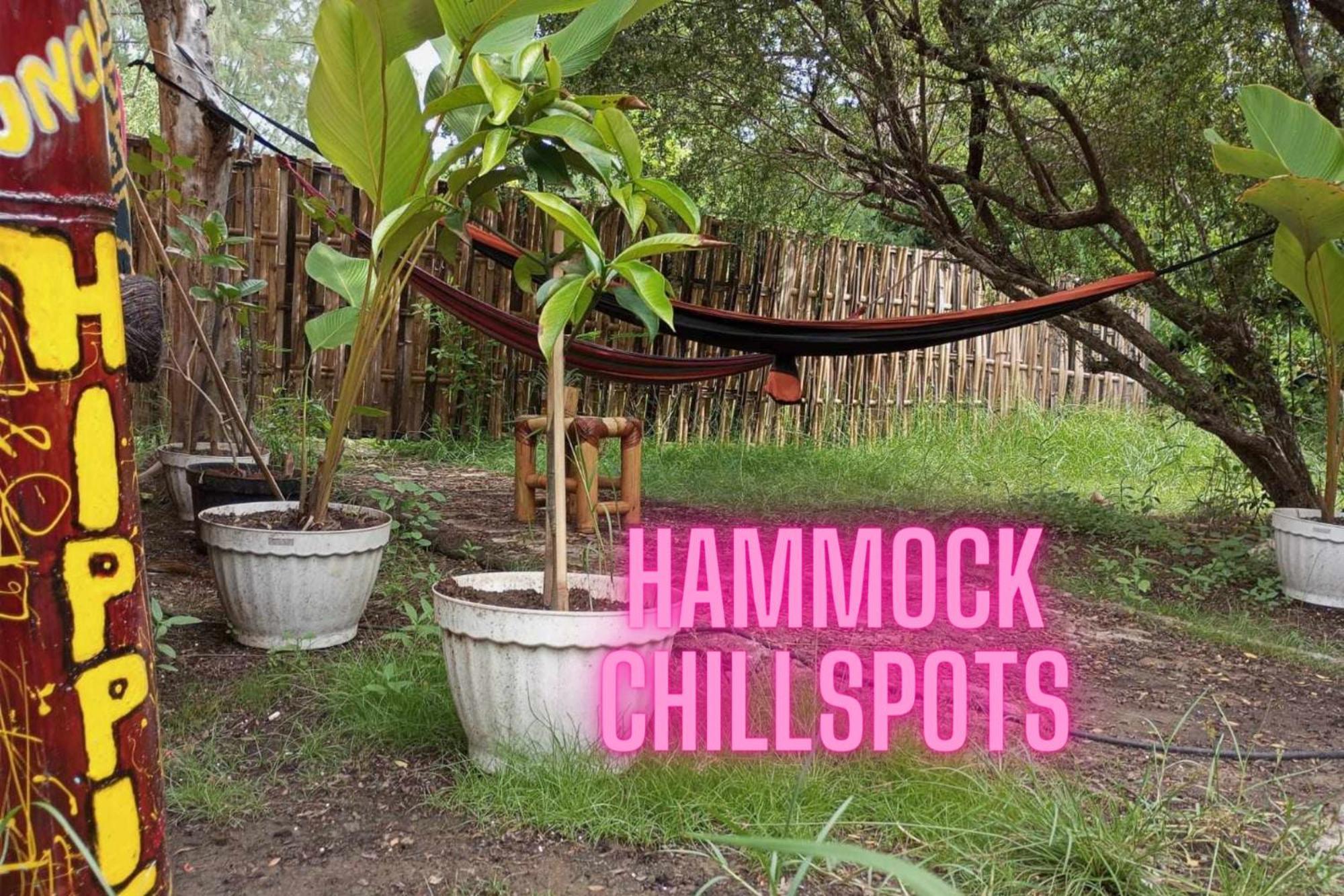 Uncle Hippie'S Dream Vandrarhem Gili Meno Exteriör bild