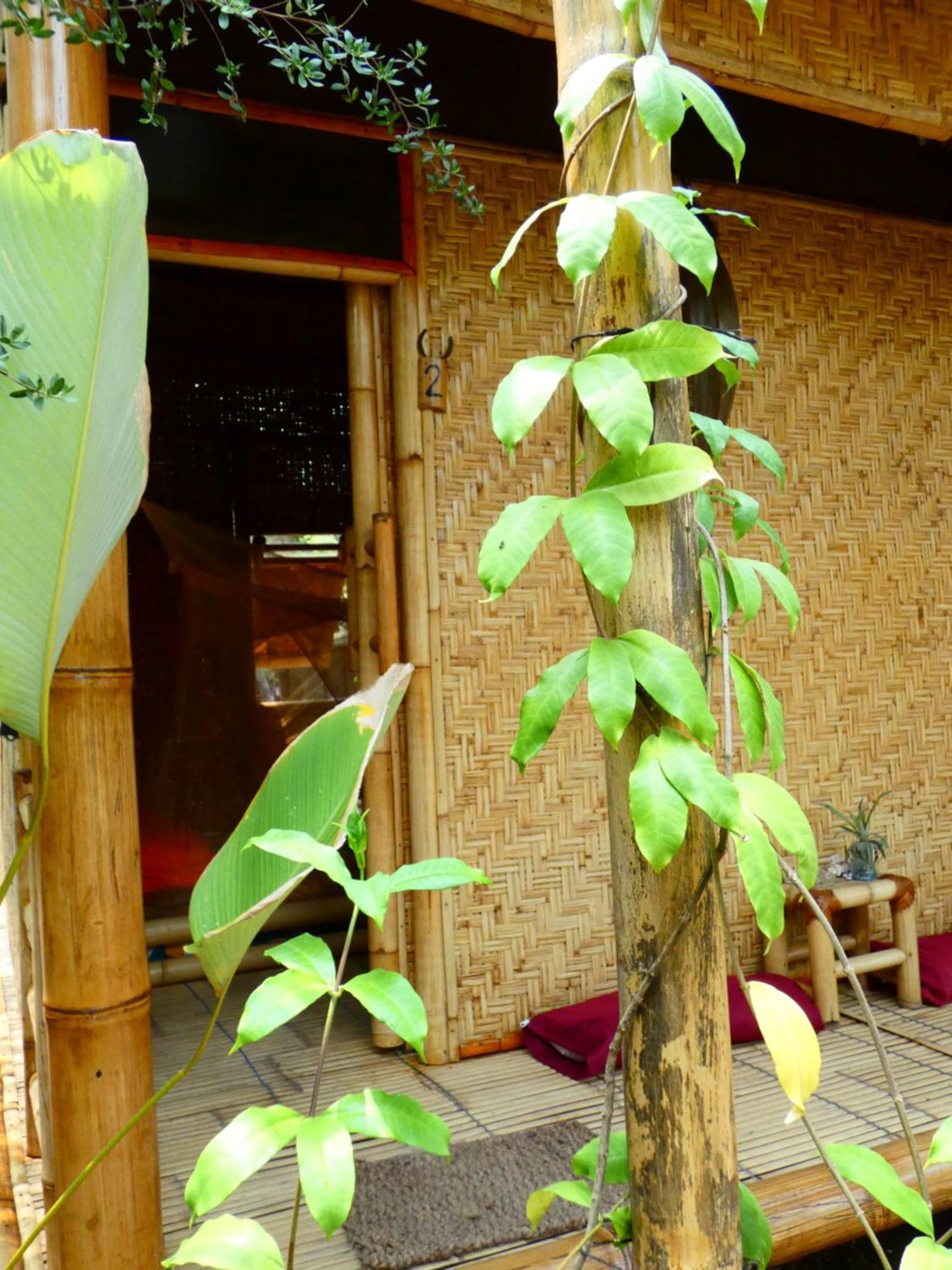 Uncle Hippie'S Dream Vandrarhem Gili Meno Exteriör bild