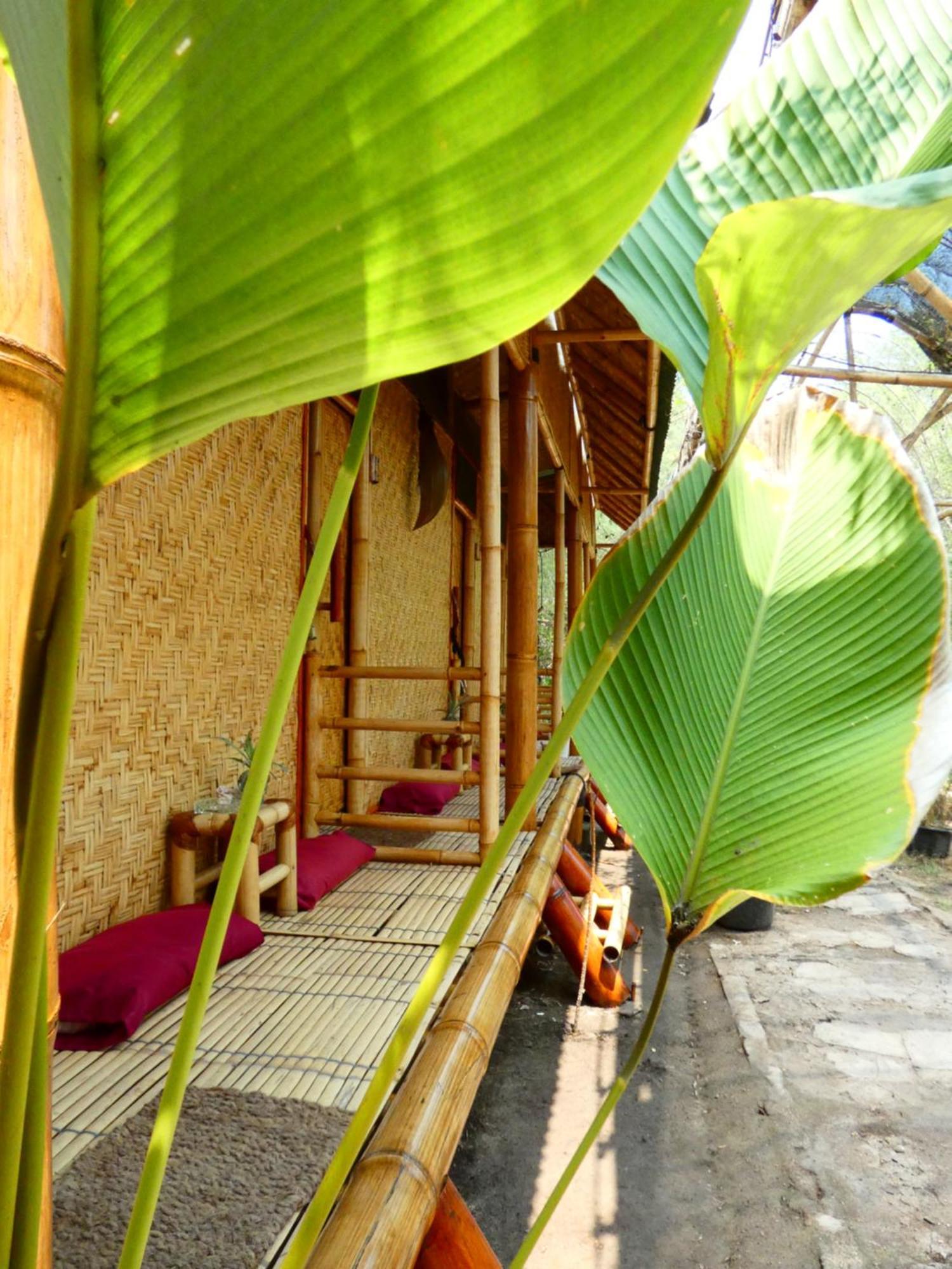 Uncle Hippie'S Dream Vandrarhem Gili Meno Exteriör bild